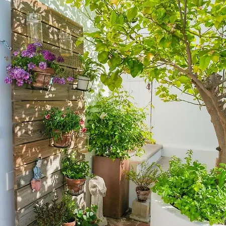 Sao Paulo Boutique 4* Tavira