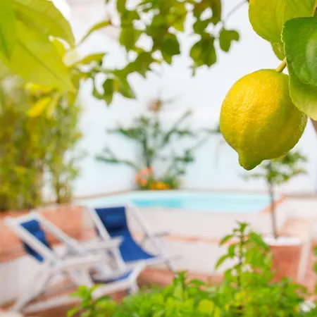 Sao Paulo Boutique - Spbh 4* Tavira