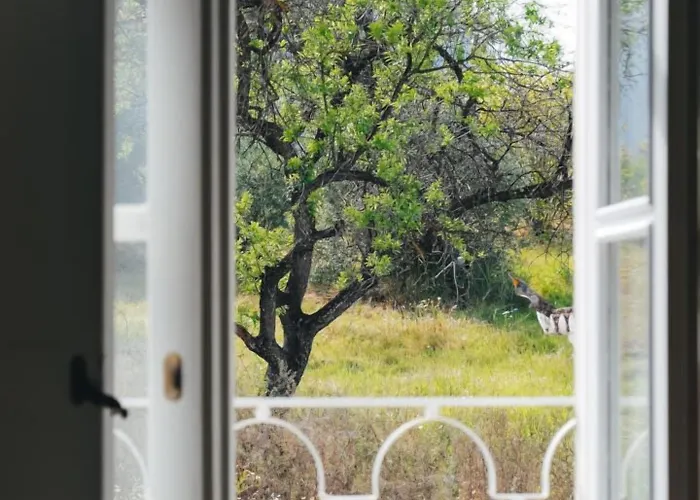 Sao Paulo Boutique Hotel 4*