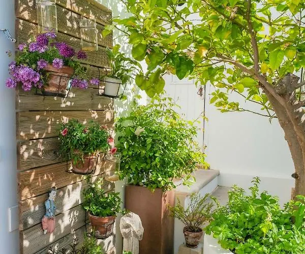 Sao Paulo Boutique 4* Tavira